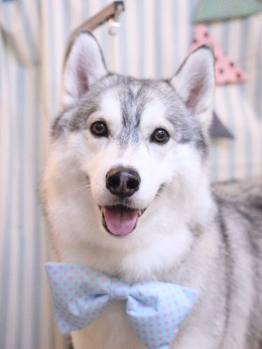 20250502てるくん